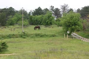 thumbnail: Garden