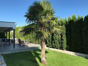 thumbnail: General view