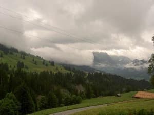 thumbnail: General view