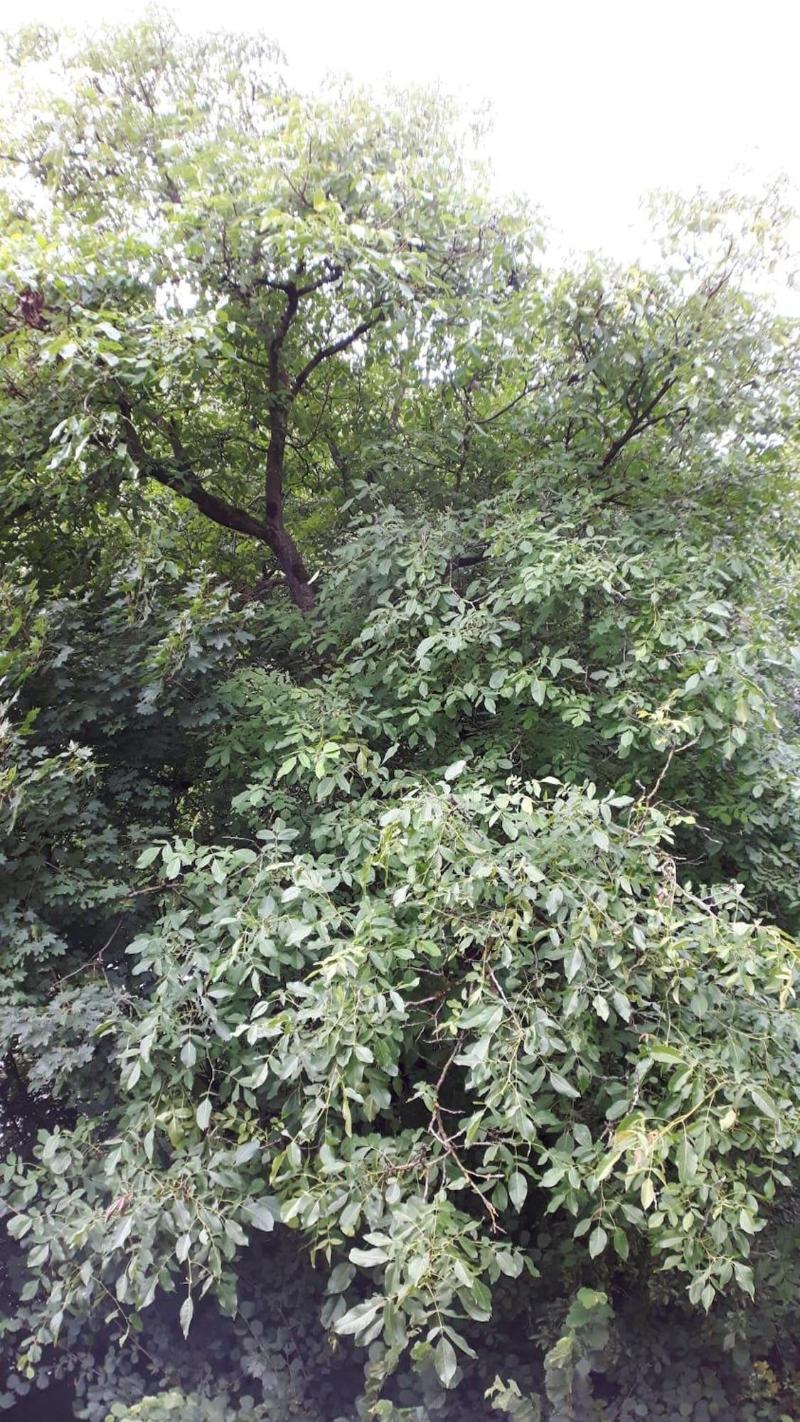 General view