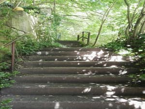 thumbnail: General view
