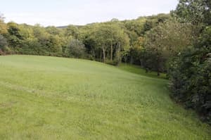 thumbnail: General view