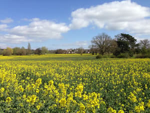 thumbnail: Front of property