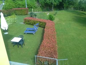 thumbnail: Property grounds