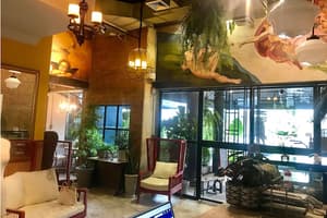 thumbnail: Interior