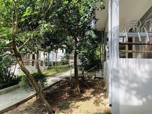 thumbnail: Garden view