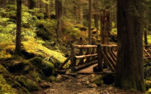 thumbnail: Hiking