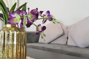 thumbnail: Room amenity