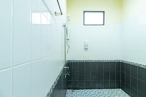 thumbnail: Bathroom shower