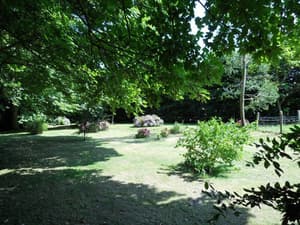 thumbnail: Garden