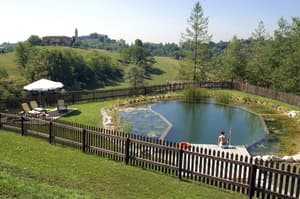 thumbnail: Natural pool