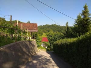thumbnail: General view