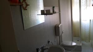 thumbnail: 213955396.jpg