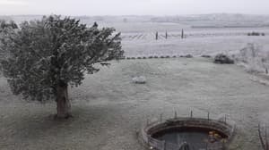 thumbnail: Property grounds