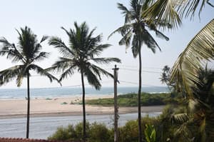 thumbnail: General view