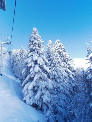thumbnail: Snow and ski sports
