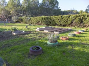 thumbnail: General view