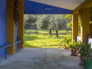 thumbnail: General view
