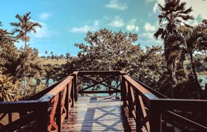 thumbnail: Terrace/patio