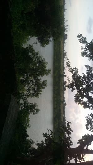 thumbnail: View from property