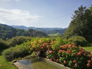 thumbnail: Garden