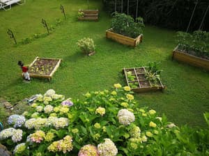 thumbnail: Garden