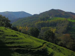 thumbnail: View from property