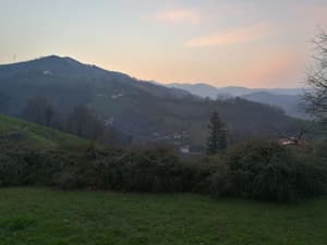 thumbnail: View from property