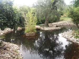 thumbnail: Lake
