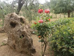 thumbnail: Garden