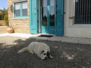 thumbnail: Terrace/patio