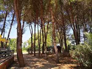 thumbnail: Property grounds