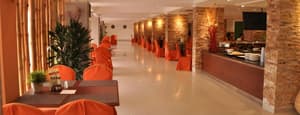 thumbnail: d725693f9670837ecef61bc7ccd882f3.jpeg