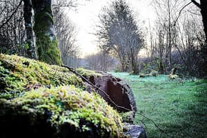 thumbnail: Property grounds