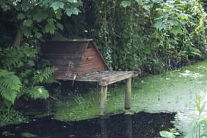 thumbnail: Property grounds