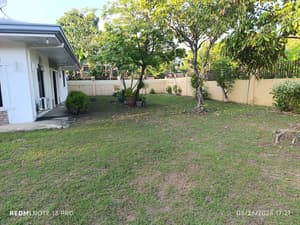 thumbnail: Garden view