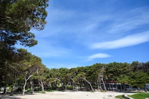 thumbnail: Street view