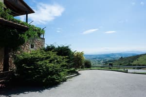 thumbnail: View from property
