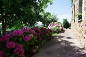 thumbnail: Exterior