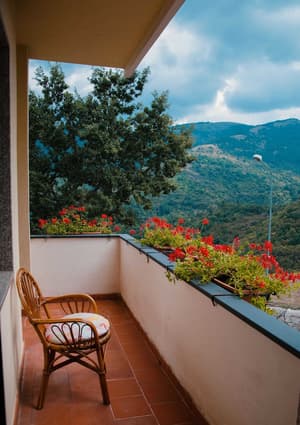 thumbnail: Terrace/patio