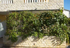 thumbnail: Front of property