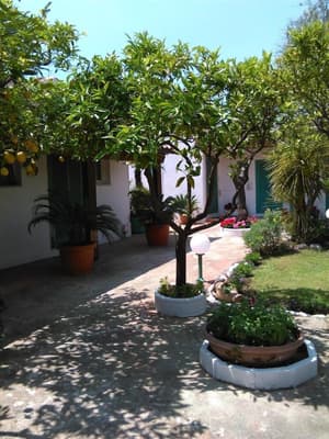 thumbnail: Garden