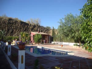 thumbnail: Outdoor pool