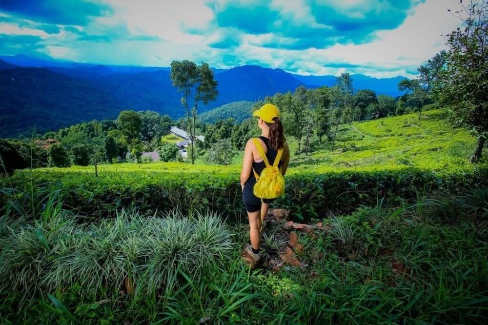 Hiking