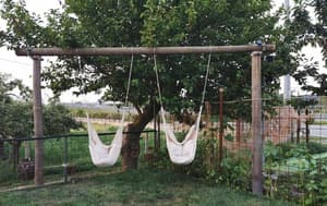 thumbnail: Property grounds