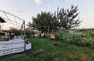 thumbnail: Property grounds