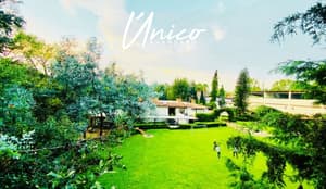 thumbnail: Garden