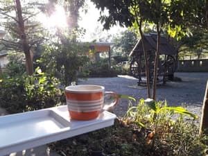 thumbnail: Garden view