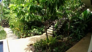 thumbnail: Garden