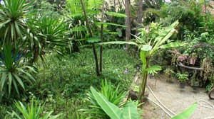 thumbnail: Property grounds